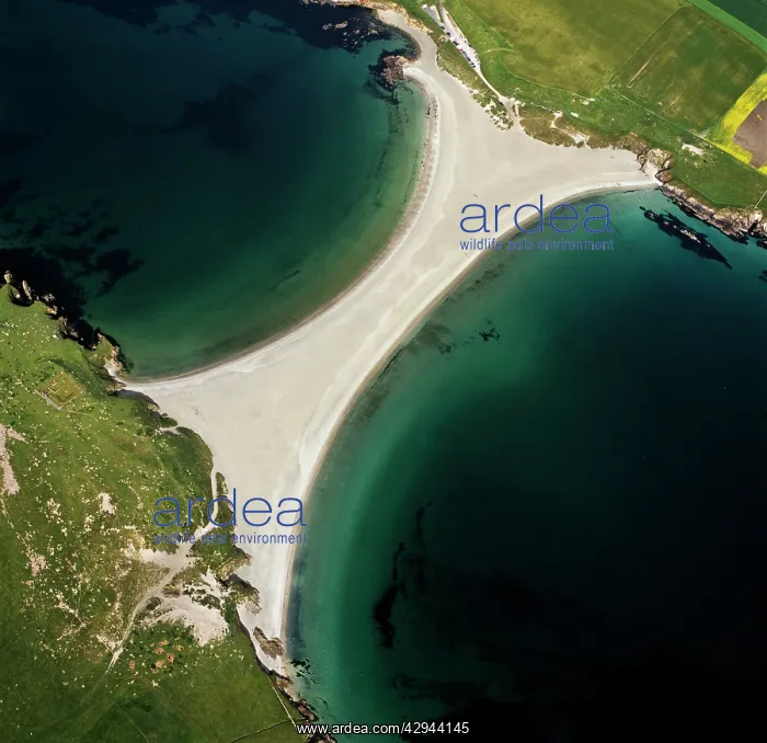 : Scotland - St Ninian's tombolo / tombola, a sandbar : Scotland - St Ninian's tombolo / tombola, a sandbar