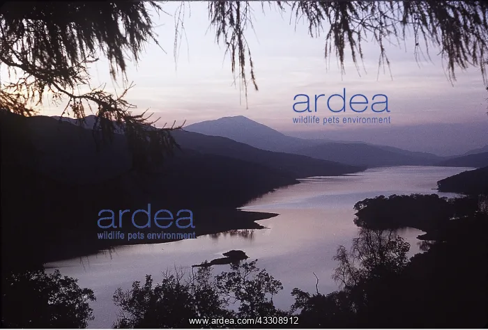 : SCOTLAND - View of Loch Tummel : SCOTLAND - View of Loch Tummel