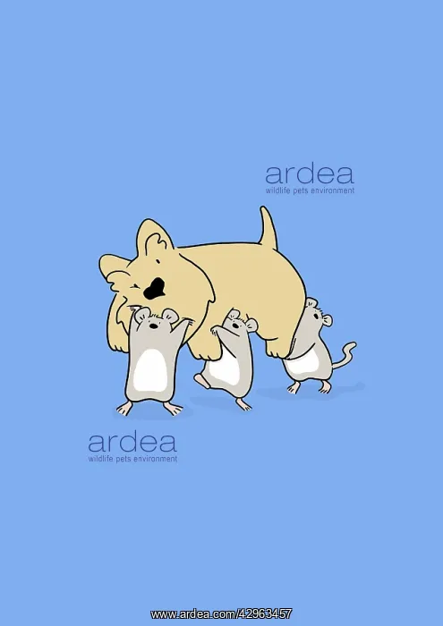 : Scottie Dog carried by three mice : Scottie Dog carried by three mice