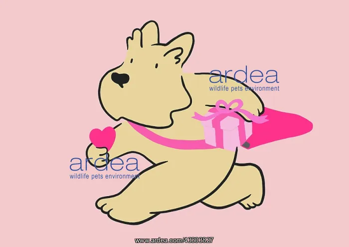 : Scottie Dog delivering heart and gift : Scottie Dog delivering heart and gift