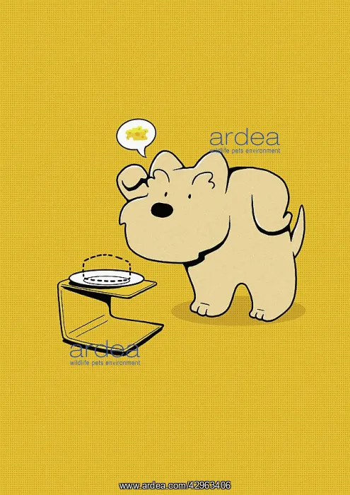 : Scottie Dog looking at plate of missing cheese : Scottie Dog looking at plate of missing cheese