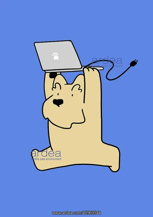: Scottie Dog running with laptop computer above head : Scottie Dog running with laptop computer above head