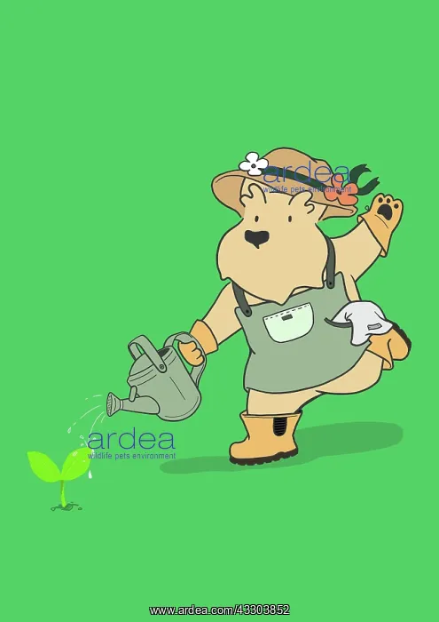 : Scottie Dog watering plant in the garden : Scottie Dog watering plant in the garden