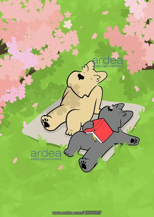 : Two Scottie Dogs relaxing in the garden looking : Two Scottie Dogs relaxing in the garden looking