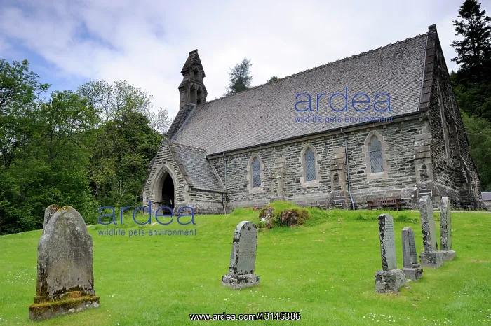 : Scottish church with graveyard : Scottish church with graveyard