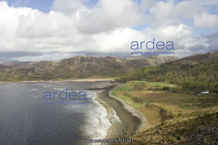 : Scottish coastline : Scottish coastline