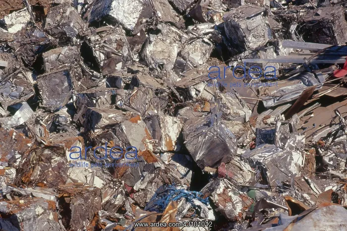  : Scrap Metal