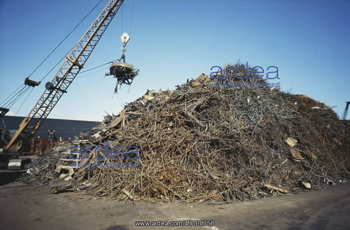 : Scrap Metal : Scrap Metal