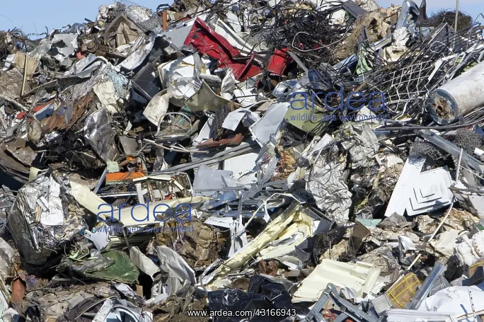 : Scrap Metal at the Pacific Steel and Recycling Center : Scrap Metal at the Pacific Steel and Recycling Center