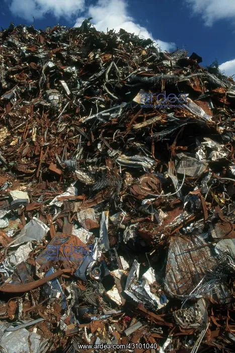 : Scrap Metal Pile : Scrap Metal Pile