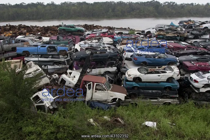 : Scrapyard in Louisiana : Scrapyard in Louisiana