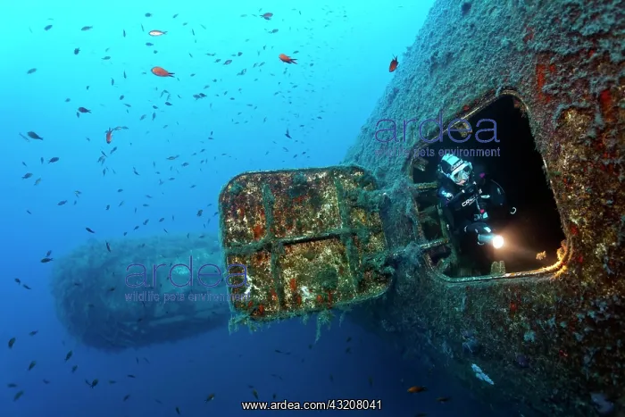 : Scuba diver emerging from the hatch at the bow : Scuba diver emerging from the hatch at the bow