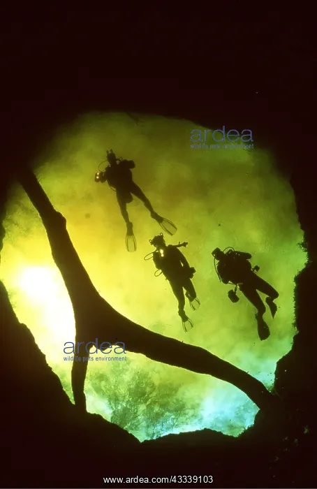 : Scuba DIVER - three In freshwater cave : Scuba DIVER - three In freshwater cave