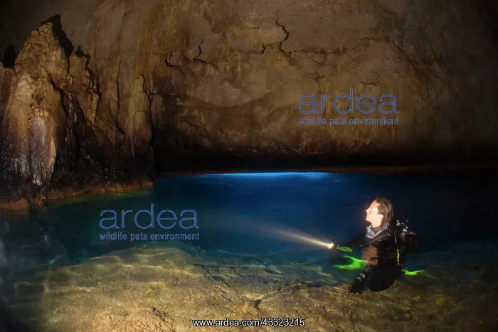 : scuba diver inside the aerial cave of the Grotta dello Zaffi : scuba diver inside the aerial cave of the Grotta dello Zaffi