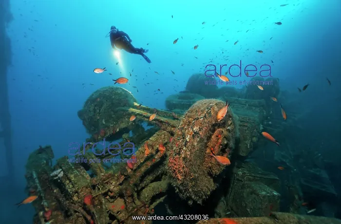 : Scuba diver with a lamp looking at the chassis of : Scuba diver with a lamp looking at the chassis of