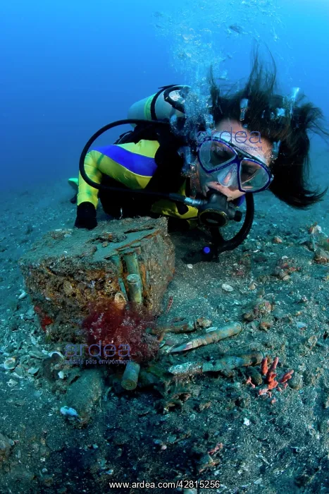 : Scuba diver looking a bullets box on the sand close to a Jap : Scuba diver looking a bullets box on the sand close to a Jap