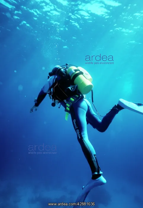 : Scuba Diver - with shark POD (emits shark repellent : Scuba Diver - with shark POD (emits shark repellent