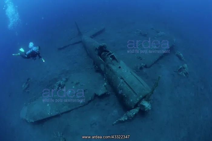 : Scuba diver and wreck of airplane Zero A6M2b-Model 21, ni822 : Scuba diver and wreck of airplane Zero A6M2b-Model 21, ni822
