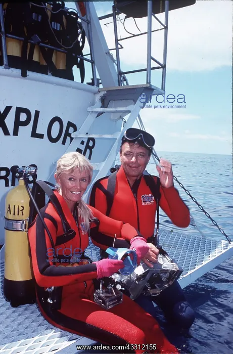 : Scuba DIVERS - on boat deck : Scuba DIVERS - on boat deck
