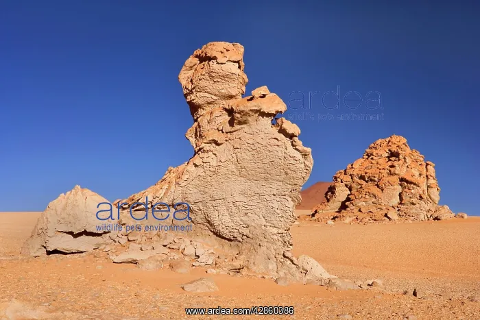 : Sculpted Dali Rocks - by wind and sand artfully : Sculpted Dali Rocks - by wind and sand artfully