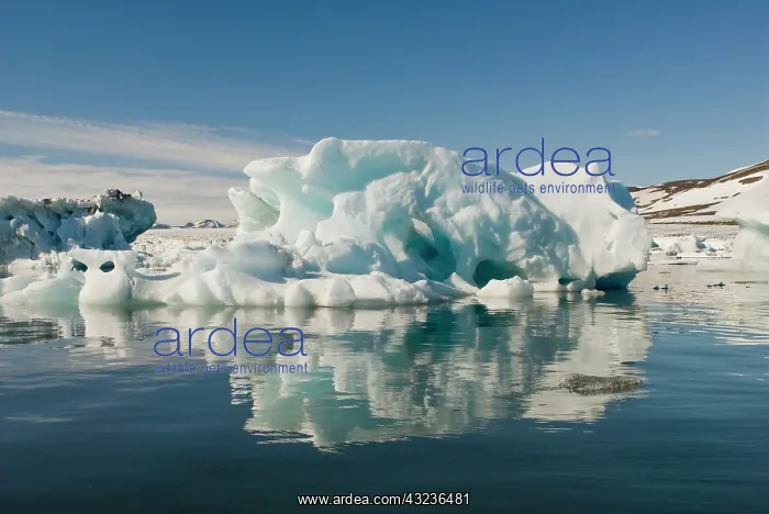 : Sculpted Iceberg, Hornsund Fiord, on the : Sculpted Iceberg, Hornsund Fiord, on the
