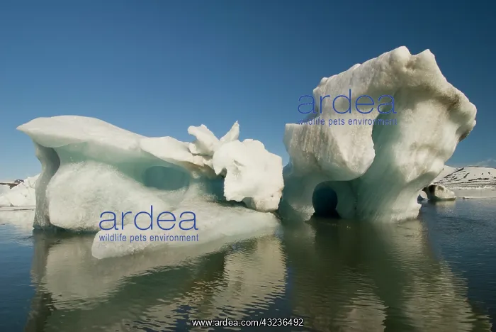 : Sculpted Iceberg, Hornsund Fiord, on the : Sculpted Iceberg, Hornsund Fiord, on the