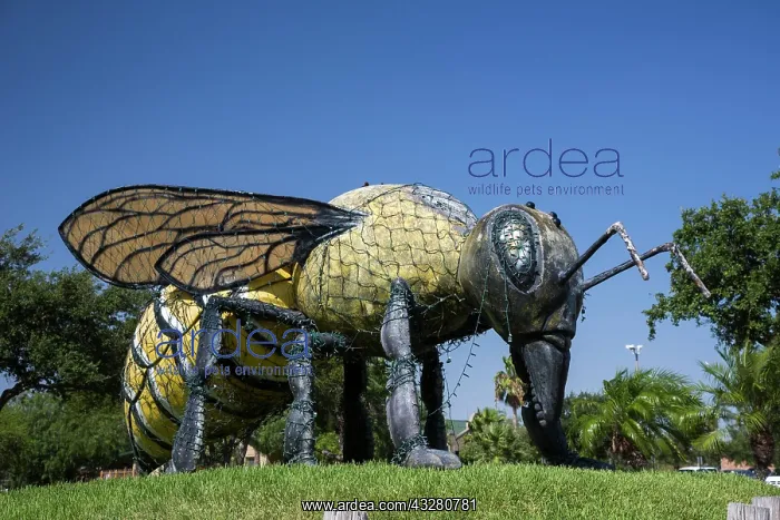 : Sculpture of a bee, Hidalgo, Texas, United States : Sculpture of a bee, Hidalgo, Texas, United States