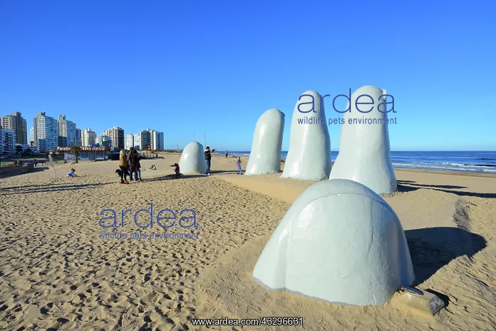 : Sculpture La Mano, the hand, on the beach Playa : Sculpture La Mano, the hand, on the beach Playa