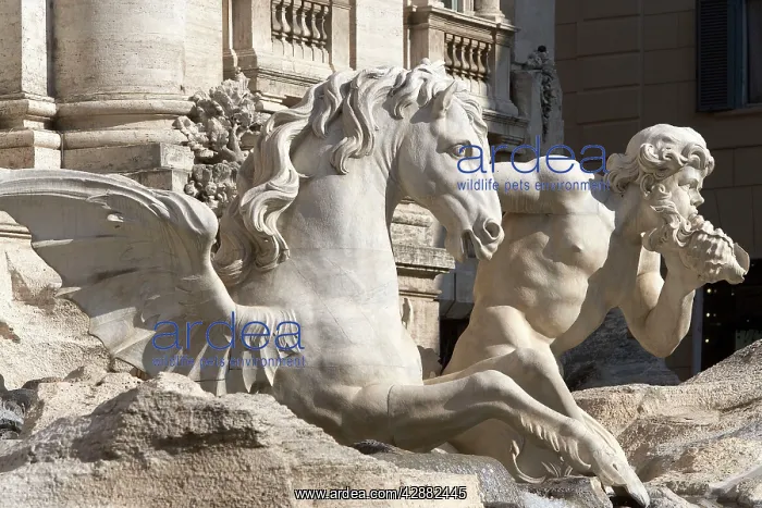  : Sculpture - Trevi Fountain - Rome - Italy