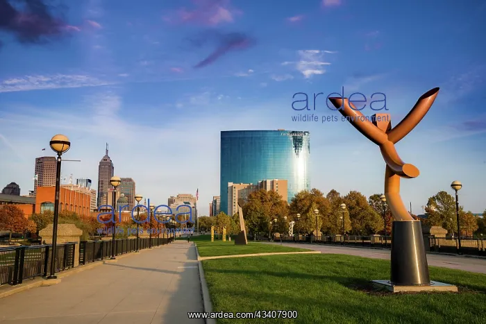  : Sculpture in White River State Park, Indianapolis