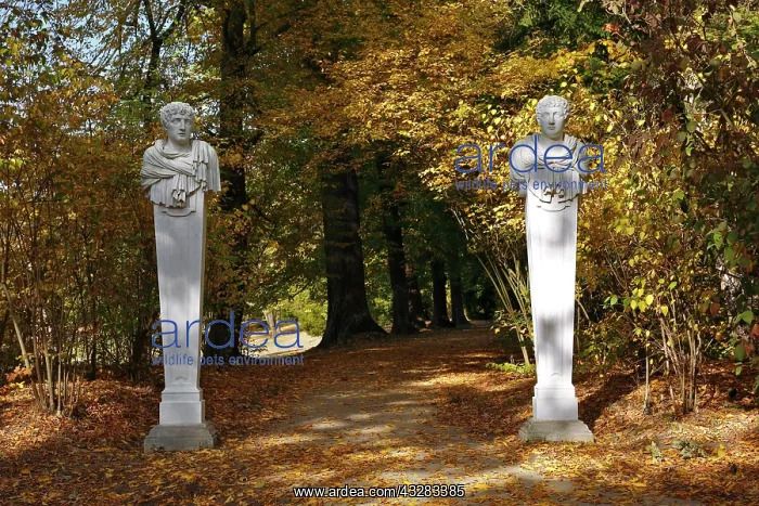 : Sculptures in the Garden Luisium near Dessau, Middle : Sculptures in the Garden Luisium near Dessau, Middle