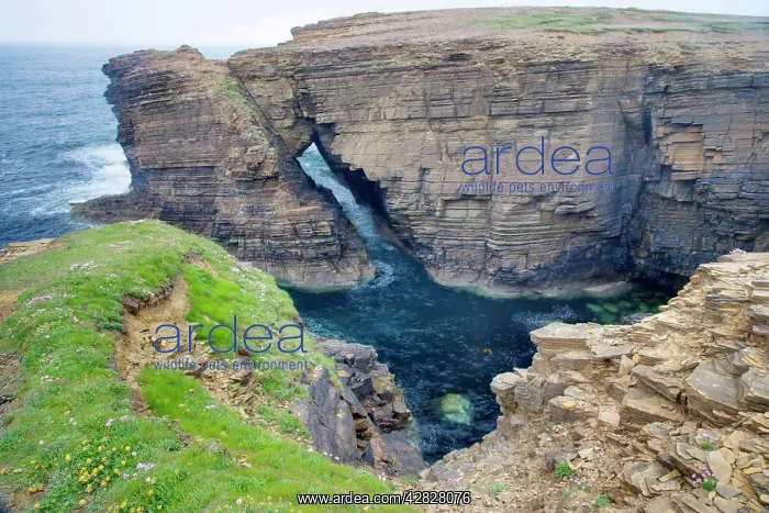: Sea Arch at Yesnaby cliffs : Sea Arch at Yesnaby cliffs