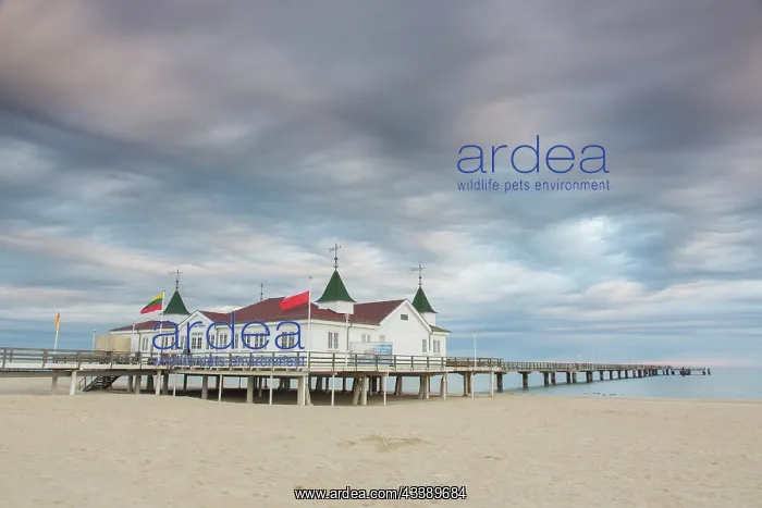  : Sea bridge Ahlbeck