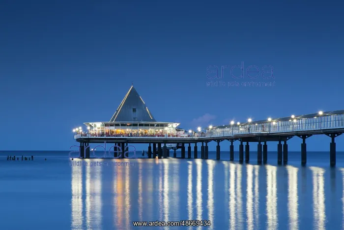 : Sea Bridge Heringsdorf 31 : Sea Bridge Heringsdorf 31