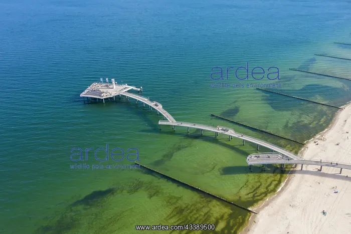 : Sea bridge Koserow : Sea bridge Koserow
