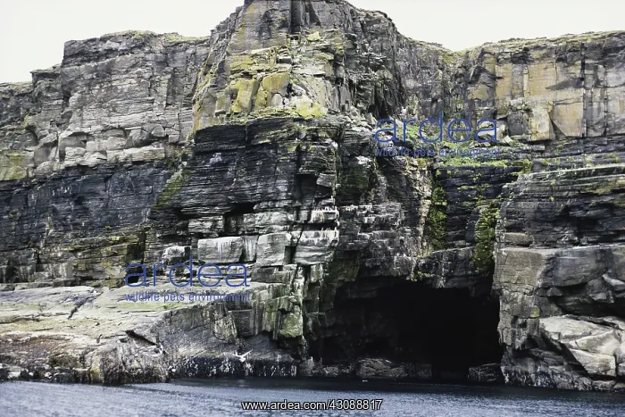 : Sea Cave. Sea cave on Noss Island, one of Scotland's Shetland Islands : Sea Cave. Sea cave on Noss Island, one of Scotland's Shetland Islands