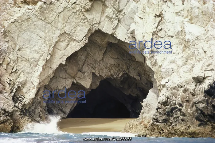 : Sea Cave. Sea cave at Friar Rocks, Cabo San Lucas, on the southern tip of Baja California : Sea Cave. Sea cave at Friar Rocks, Cabo San Lucas, on the southern tip of Baja California
