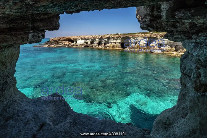 : Sea Caves, coast with cliffs and caves near Agia : Sea Caves, coast with cliffs and caves near Agia