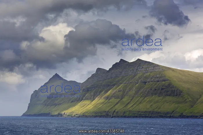 : Sea cliffs along the rugged coast of Eysturoy, East : Sea cliffs along the rugged coast of Eysturoy, East