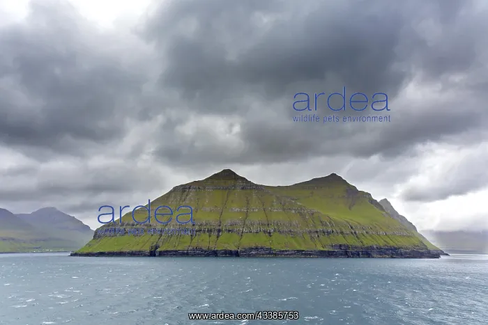 : Sea cliffs along the rugged coast of Eysturoy, East : Sea cliffs along the rugged coast of Eysturoy, East