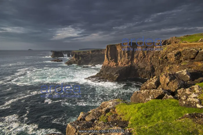 : Sea cliffs and sea stacks at Eshaness, Esha Ness a : Sea cliffs and sea stacks at Eshaness, Esha Ness a