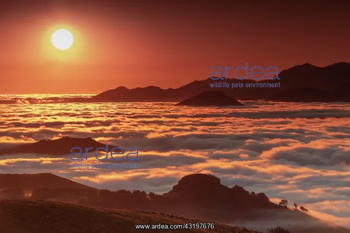 : Sea of clouds at daybreak, Orgambideska pass, Pyrenees-Atlan : Sea of clouds at daybreak, Orgambideska pass, Pyrenees-Atlan