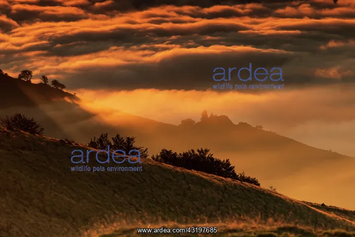 : Sea of clouds at daybreak, Orgambideska pass, Pyrenees-Atlan : Sea of clouds at daybreak, Orgambideska pass, Pyrenees-Atlan
