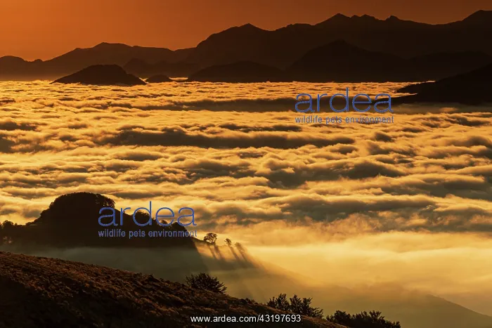 : Sea of clouds at daybreak, Orgambideska pass, Pyrenees-Atlan : Sea of clouds at daybreak, Orgambideska pass, Pyrenees-Atlan