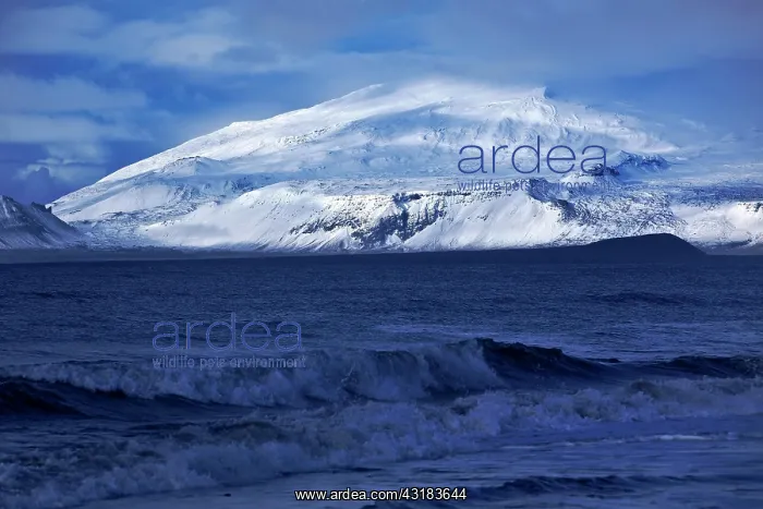 : Sea and glacier Sn~fellsjnkull, Langaholt, Sn~fellsnes : Sea and glacier Sn~fellsjnkull, Langaholt, Sn~fellsnes