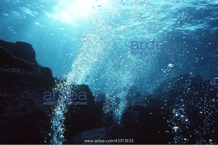 : SEA - Hot Gas pouring from rocks, 5m : SEA - Hot Gas pouring from rocks, 5m