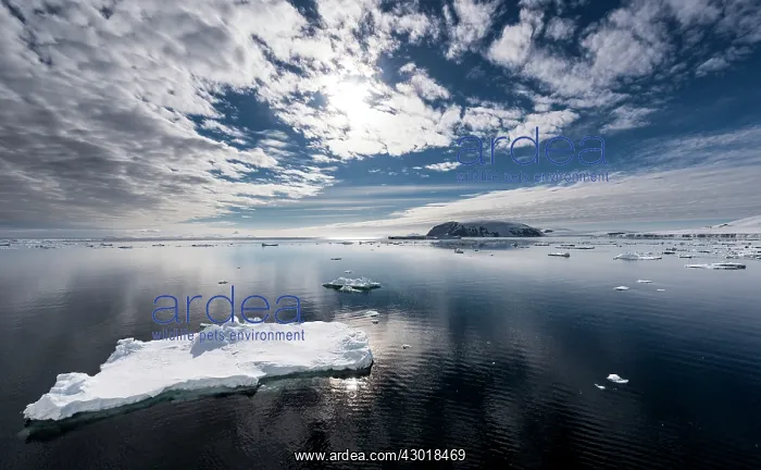  : Sea Ice floating in the sea