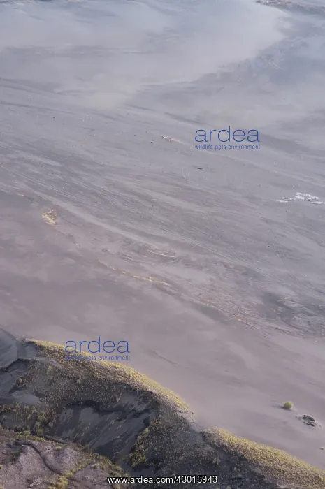 : Sea of Sand