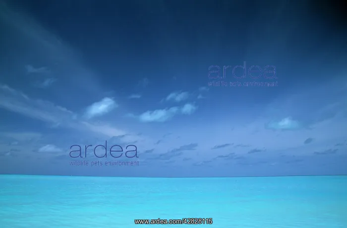  : Sea and Sky