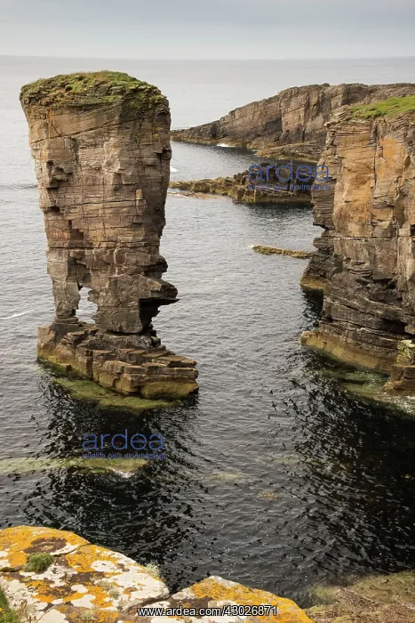  : Sea Stack. Yesnaby, Orkney, UK